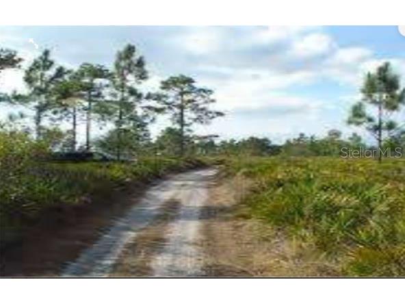  Saint Cloud FL 34773 O6150812 image3