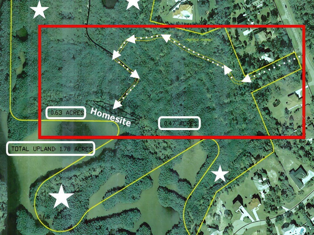  Saint Petersburg FL 33702 C7499409 image2