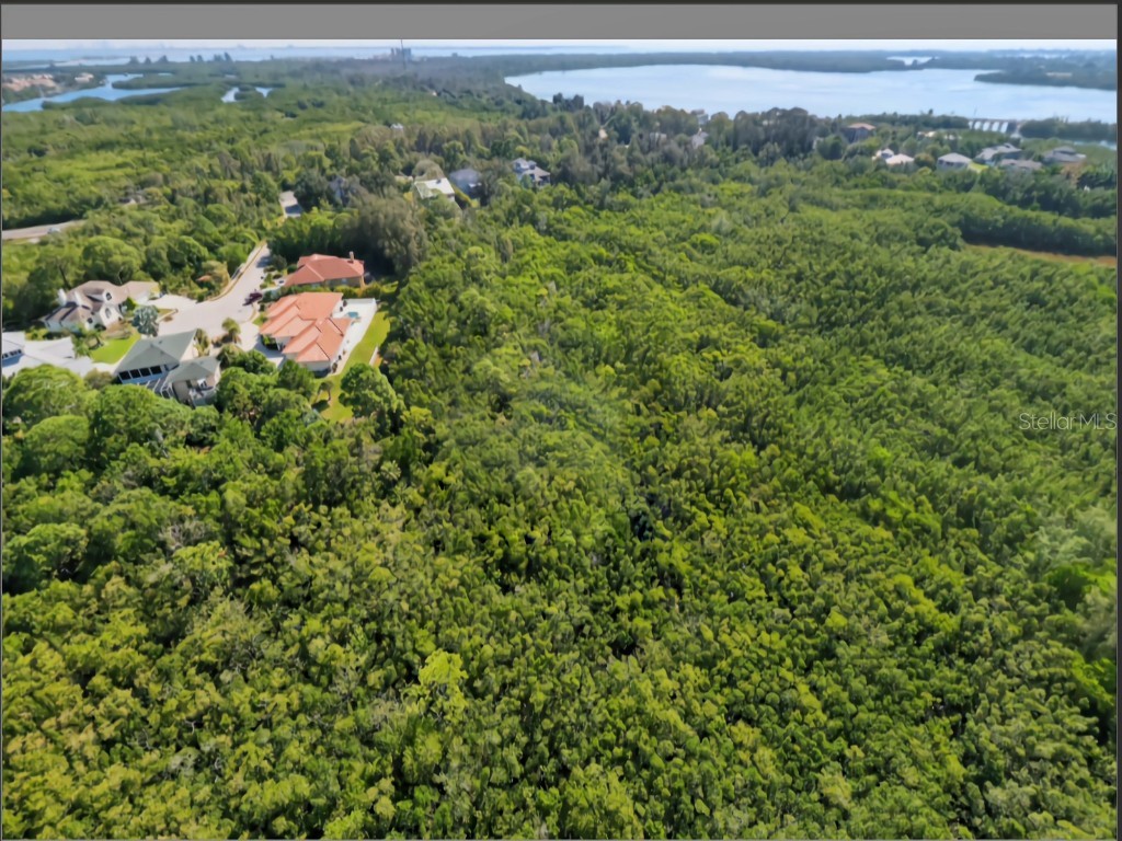  Saint Petersburg FL 33702 C7499409 image8