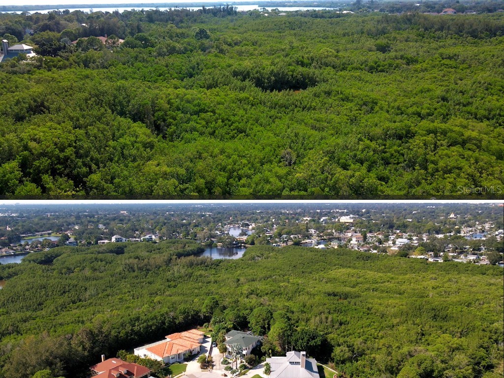  Saint Petersburg FL 33702 C7499409 image9