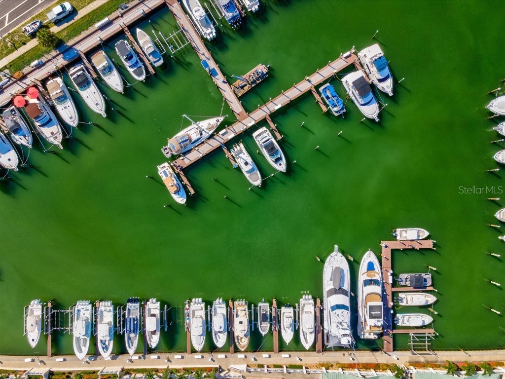  Saint Petersburg FL 33715 W7878238 image17