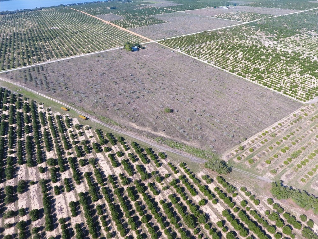 T S Wilson Road Frostproof FL 33843 P4915502 image1