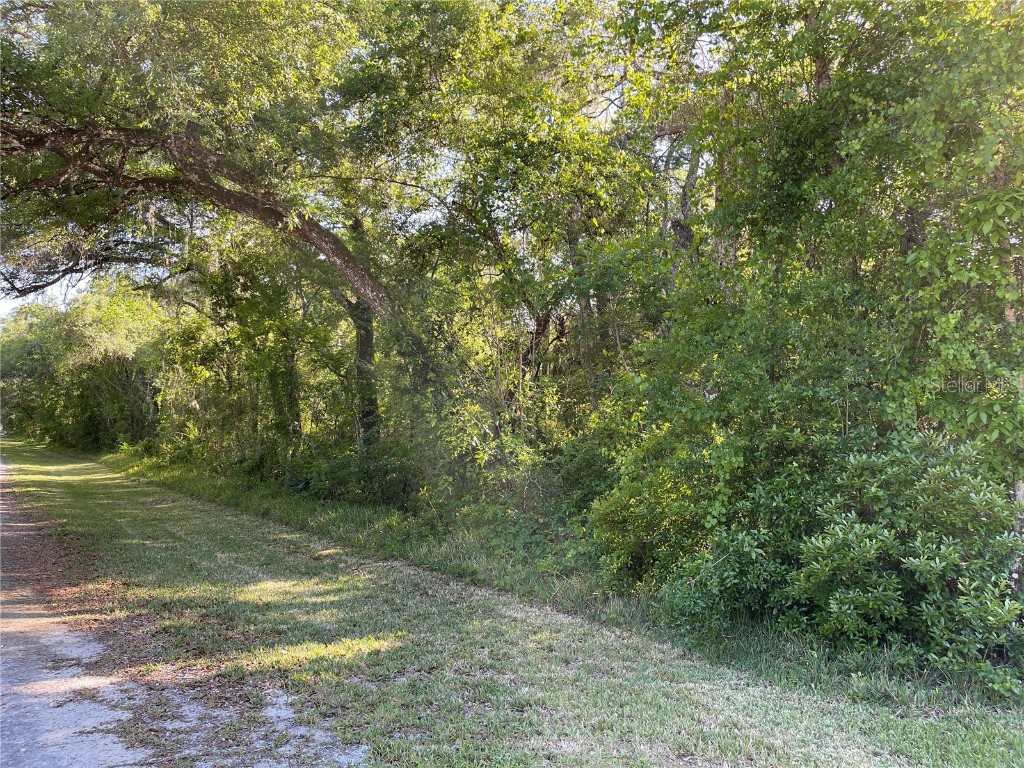 Table Rock Drive Webster FL 33597 G5080804 image1