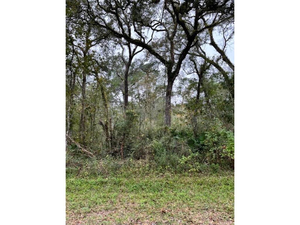 Table Rock Drive Webster FL 33597 W7851292 image1