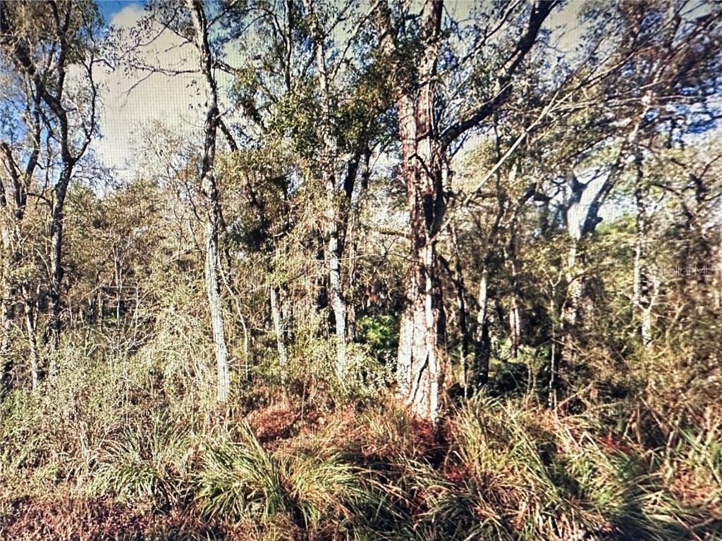 Table Rock Drive Webster FL 33597 O6301454 image1