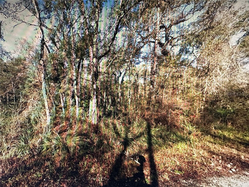 Table Rock Drive Webster FL 33597 O6301454 image2