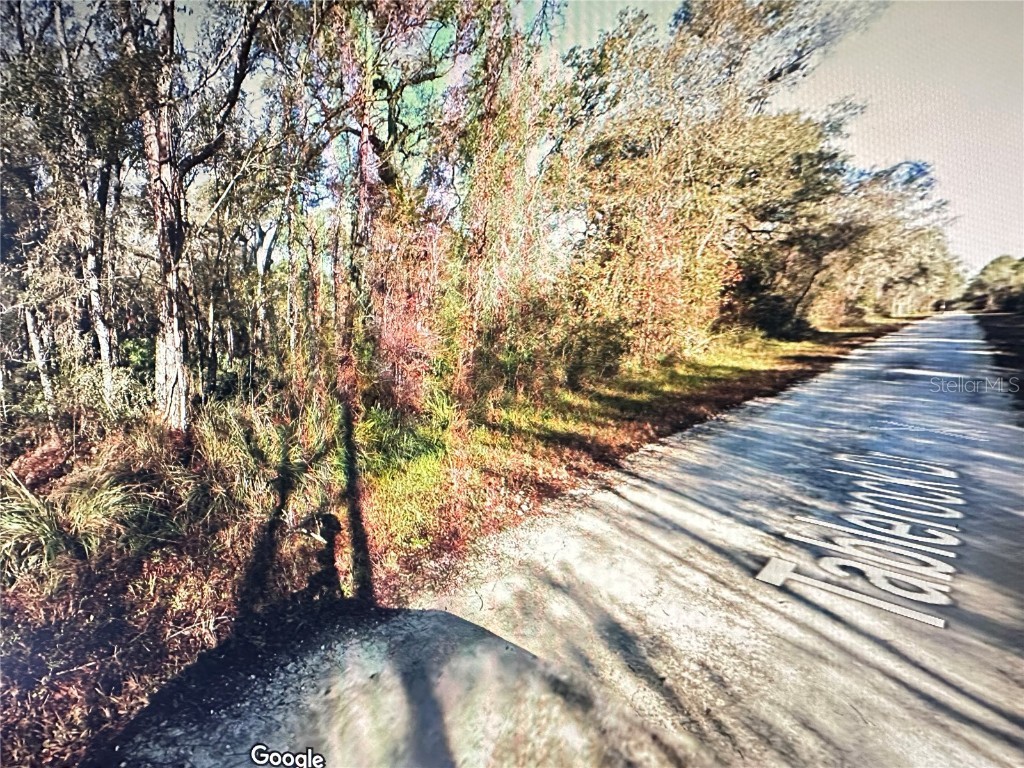 Table Rock Drive Webster FL 33597 O6301454 image4