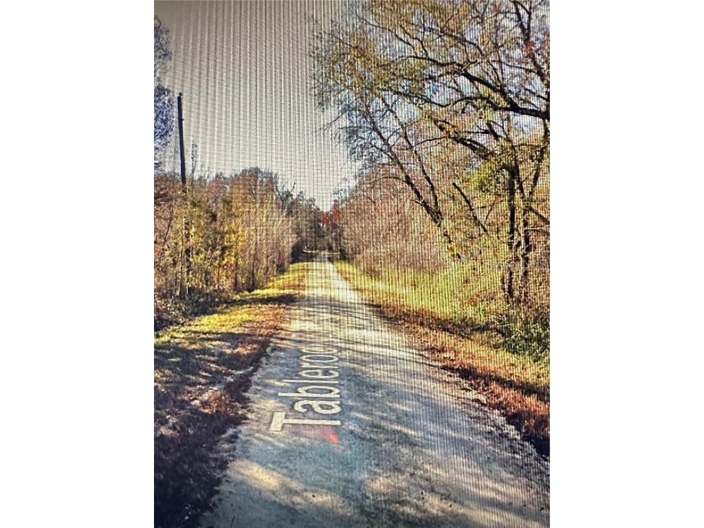 Table Rock Drive Webster FL 33597 O6301454 image8