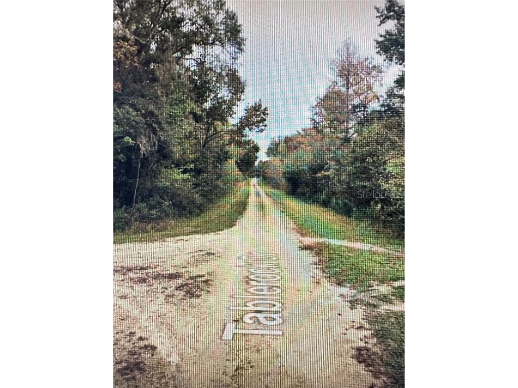 Table Rock Drive Webster FL 33597 O6301454 image9