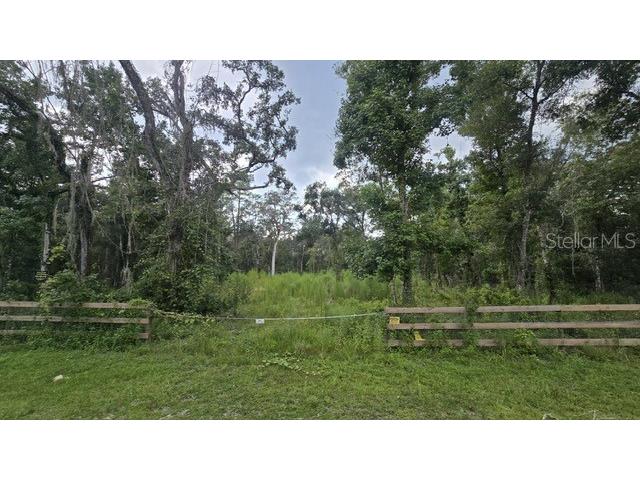 Table Rock Drive Webster FL 33597 TB8418470 image1