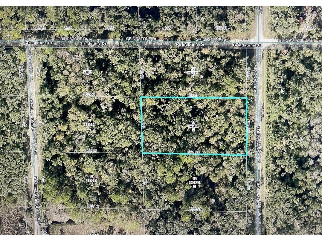 Table Rock Drive Webster FL 33597 TB8418470 image2