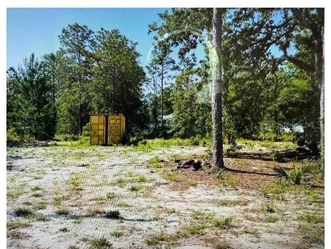 Tailorbird Avenue Brooksville FL 34614 W7876055 image1