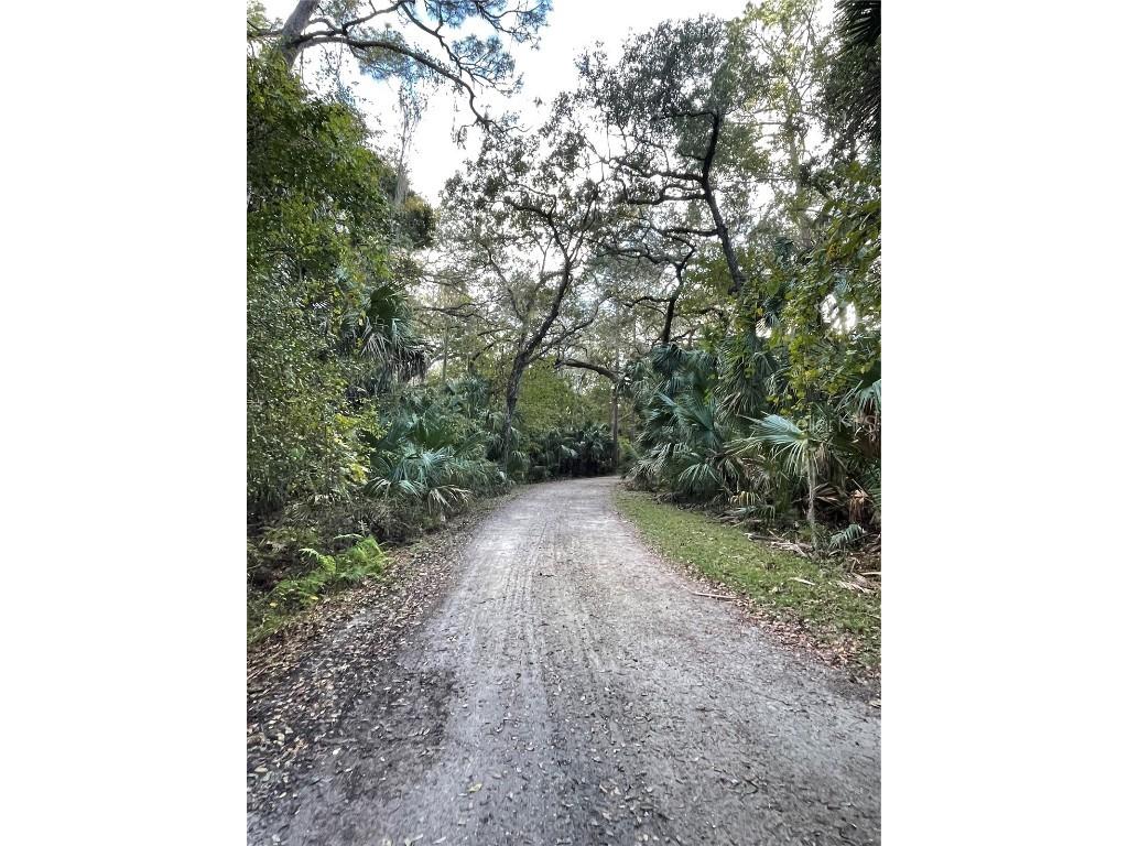 Tall Palm Fish Camp Road Deland FL 32720 V4942738 image12