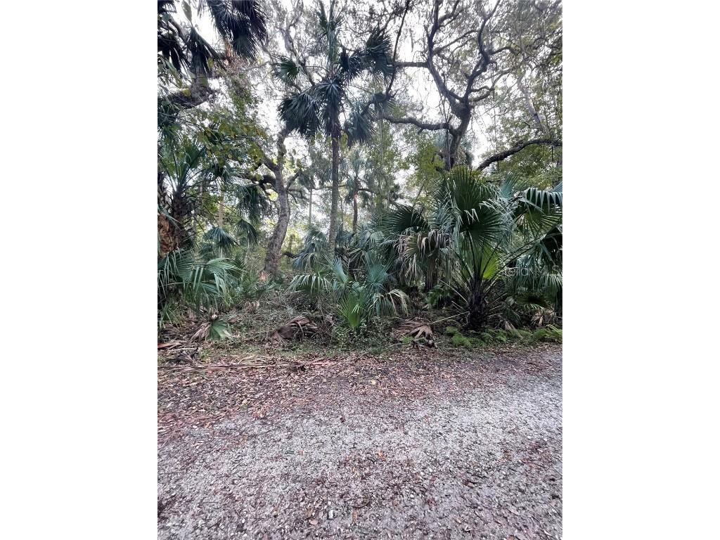 Tall Palm Fish Camp Road Deland FL 32720 V4942738 image13