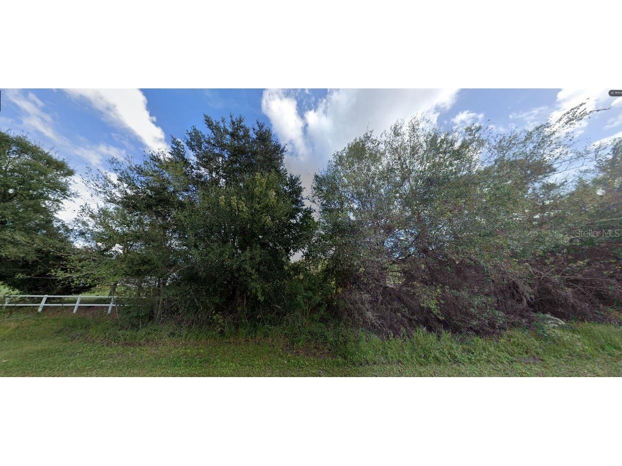 Tall Pine Road Polk City FL 33868 O6270665 image2