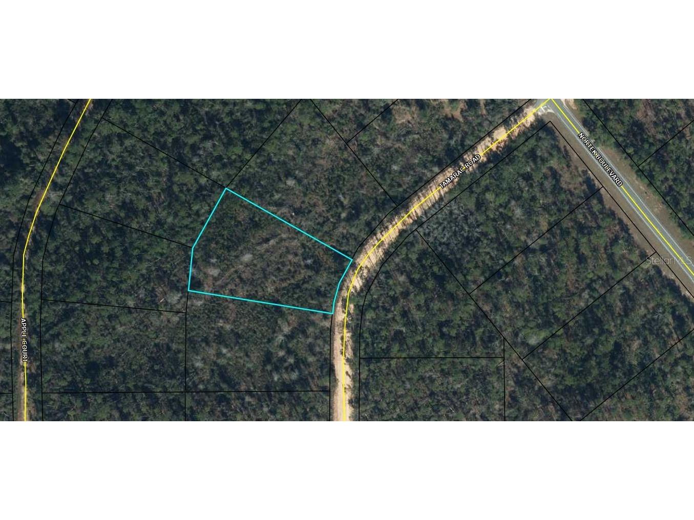 Tamarac Road Marianna FL 32448 A4630045 image1