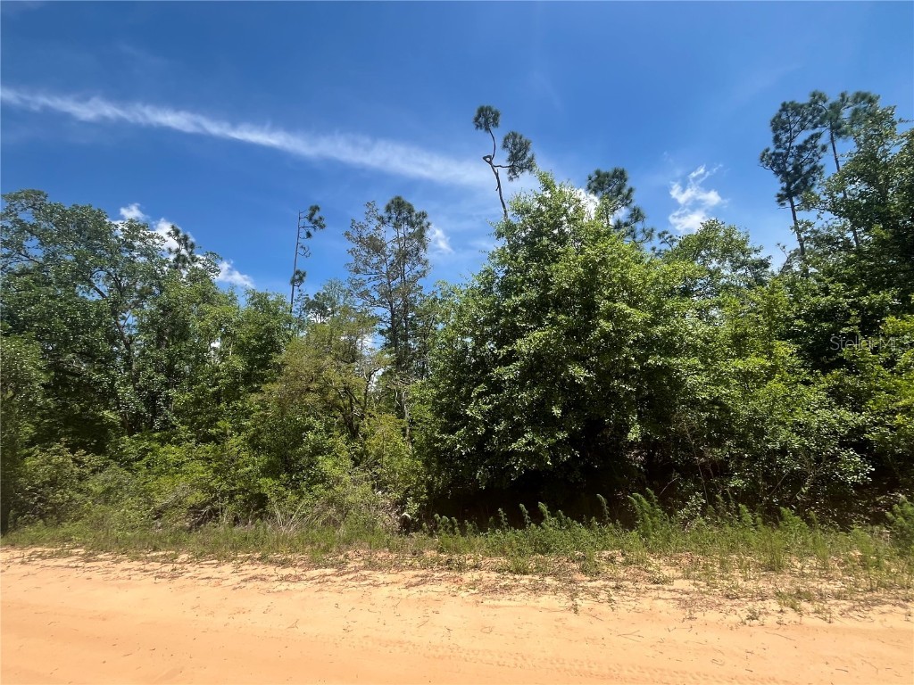 Tamarac Road Marianna FL 32448 OK225303 image4