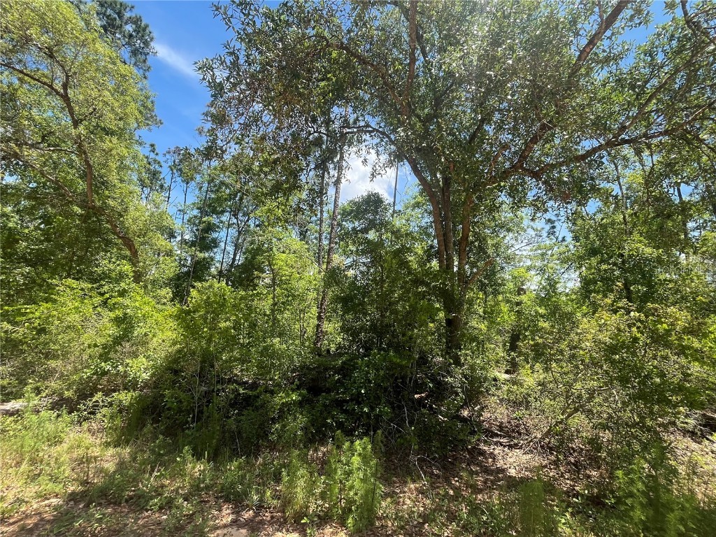 Tamarac Road Marianna FL 32448 OK225303 image7