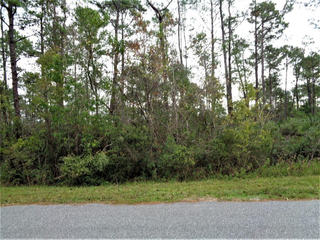 Tamarac Street Eustis FL 32736 - LAKE NORRIS G5063282 image1
