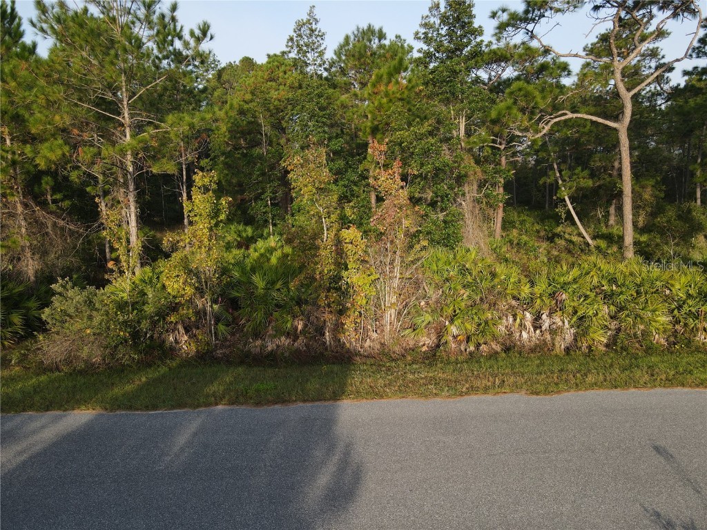 Tamarac Street Eustis FL 32736 - LAKE NORRIS V4927825 image1