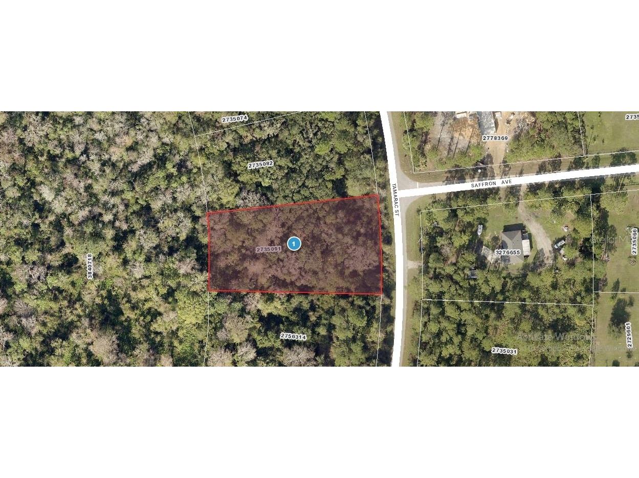 Tamarac Street Eustis FL 32736 C7508776 image1