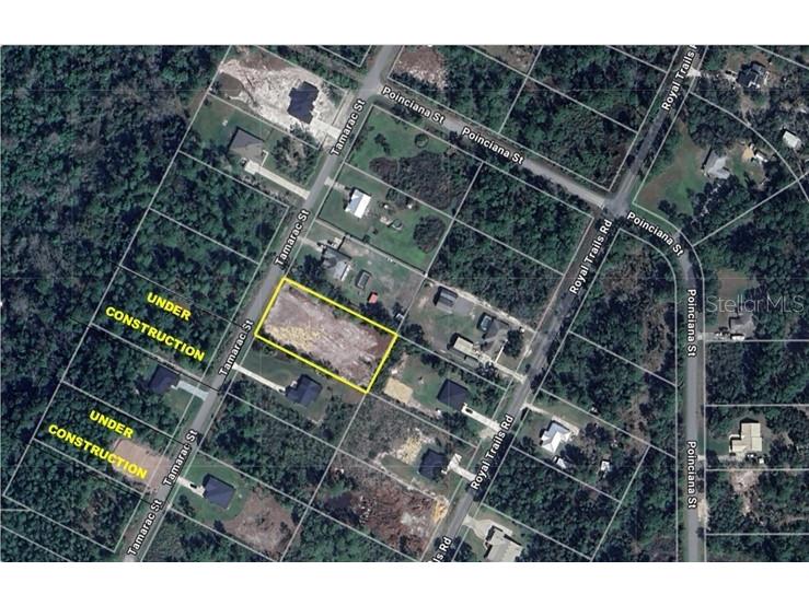 Tamarac Street Eustis FL 32736 O6330438 image2