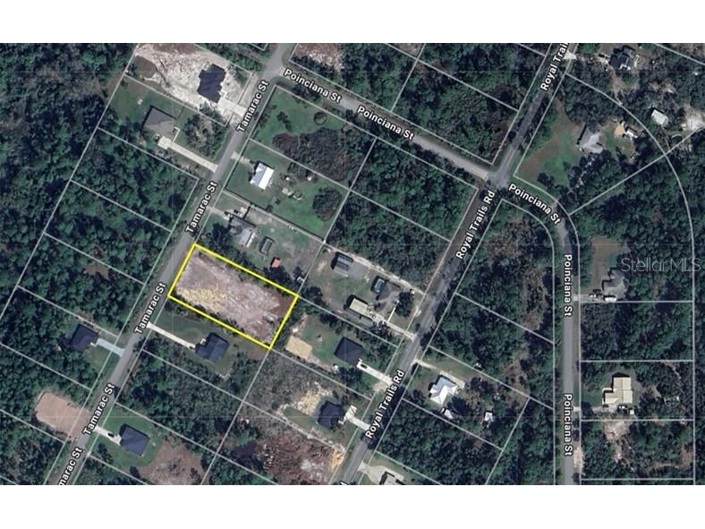 Tamarac Street Eustis FL 32736 O6330438 image3