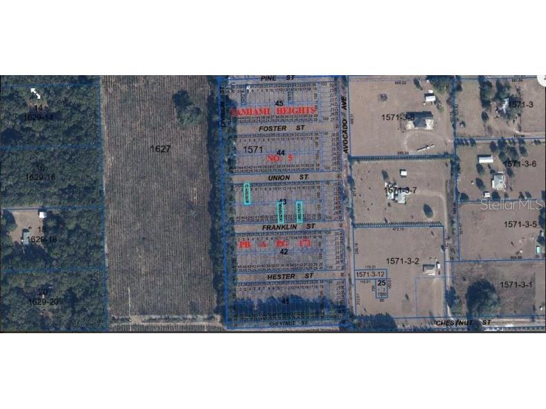 Tamiami Heights #5 Blks 41-45 High Springs FL 32643 O6231527 image4