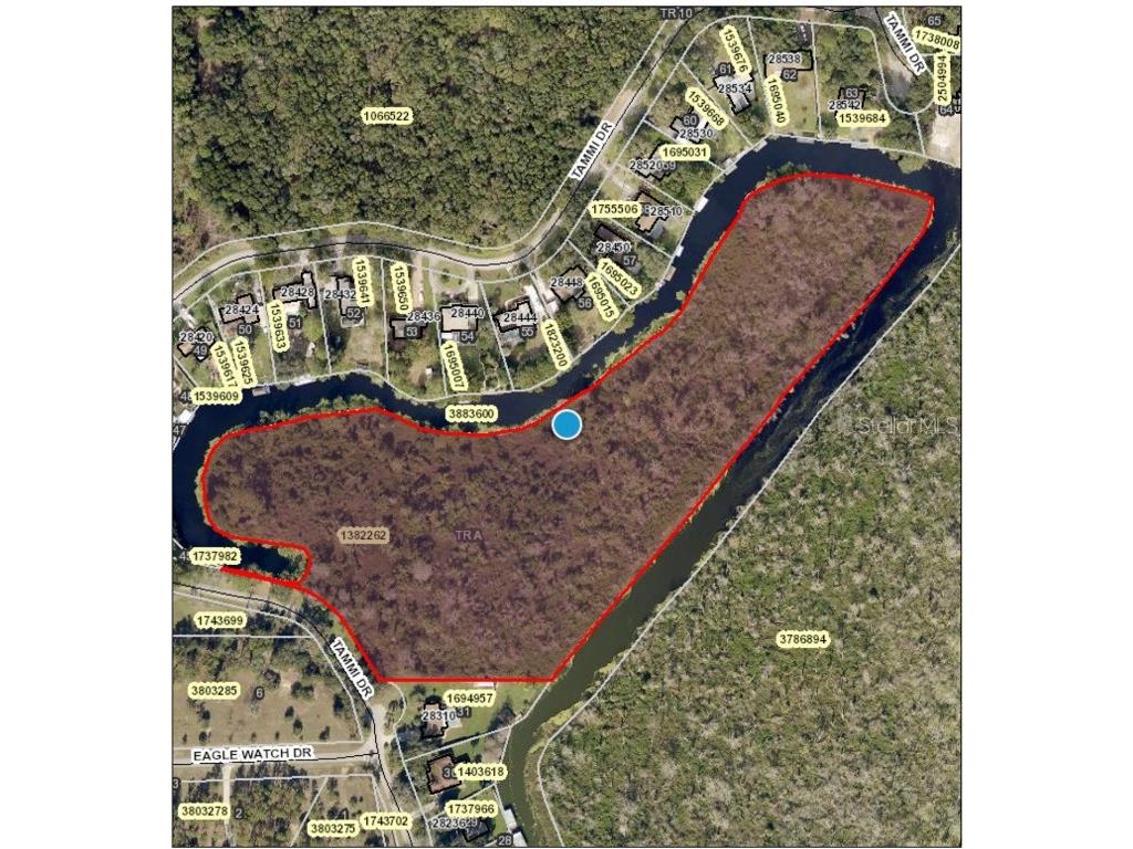 Tammi Drive Tavares FL 32778 G5045305 image1