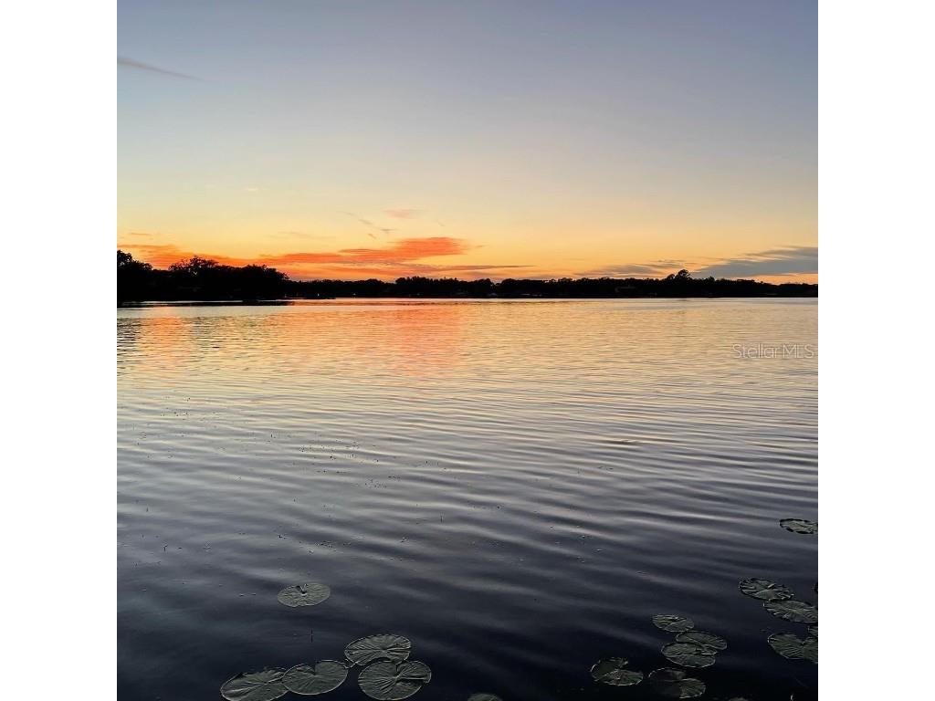  Tampa FL 33613 J976893 image1