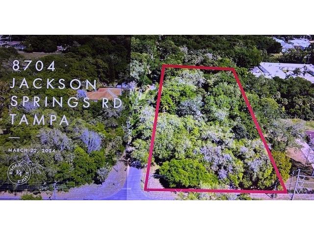  Tampa FL 33615 T3518203 image1