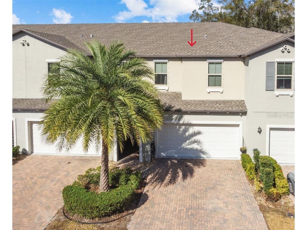  Tampa FL 33625 T3501528 image1