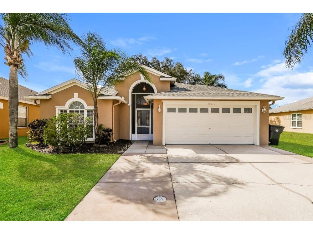  Tampa FL 33647 T3483487 image1