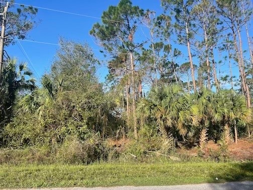 Taneytown Street North Port FL 34291 N6123932 image1