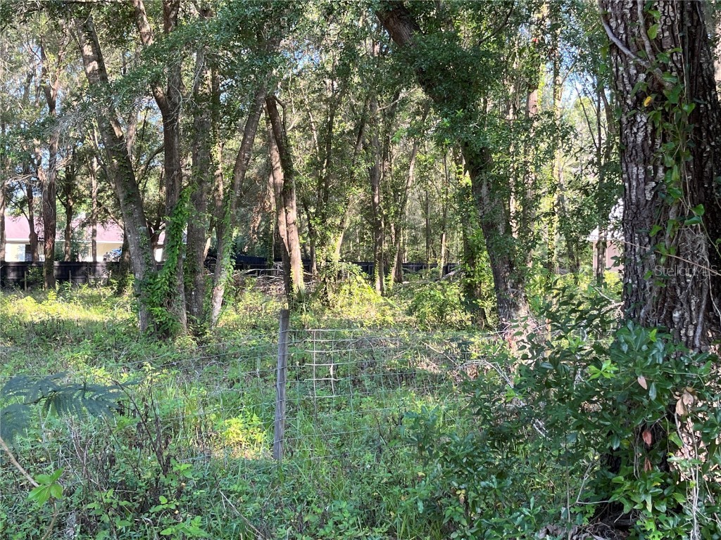 Tangerine Avenue Lake Helen FL 32744 V4930595 image1