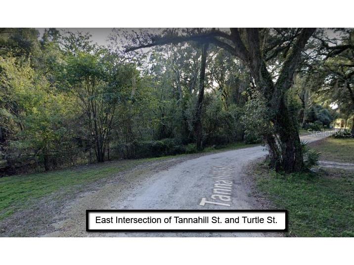 Tannahill Street Dade City FL 33523 O6125268 image1