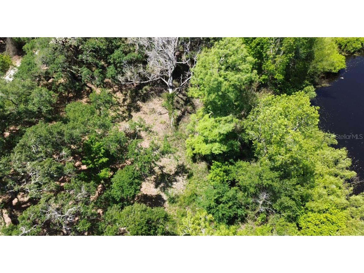 Tannahill Street Dade City FL 33523 TB8376595 image11