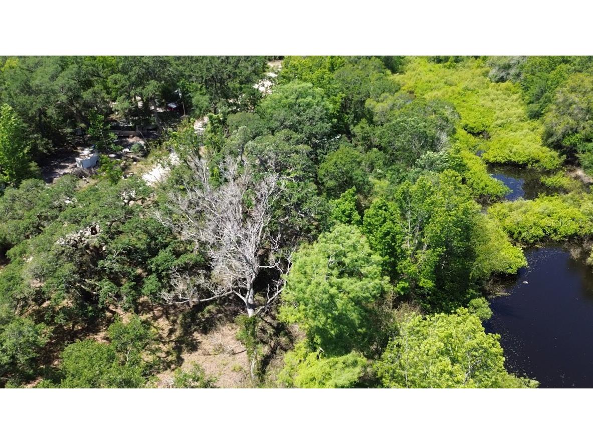 Tannahill Street Dade City FL 33523 TB8376595 image12