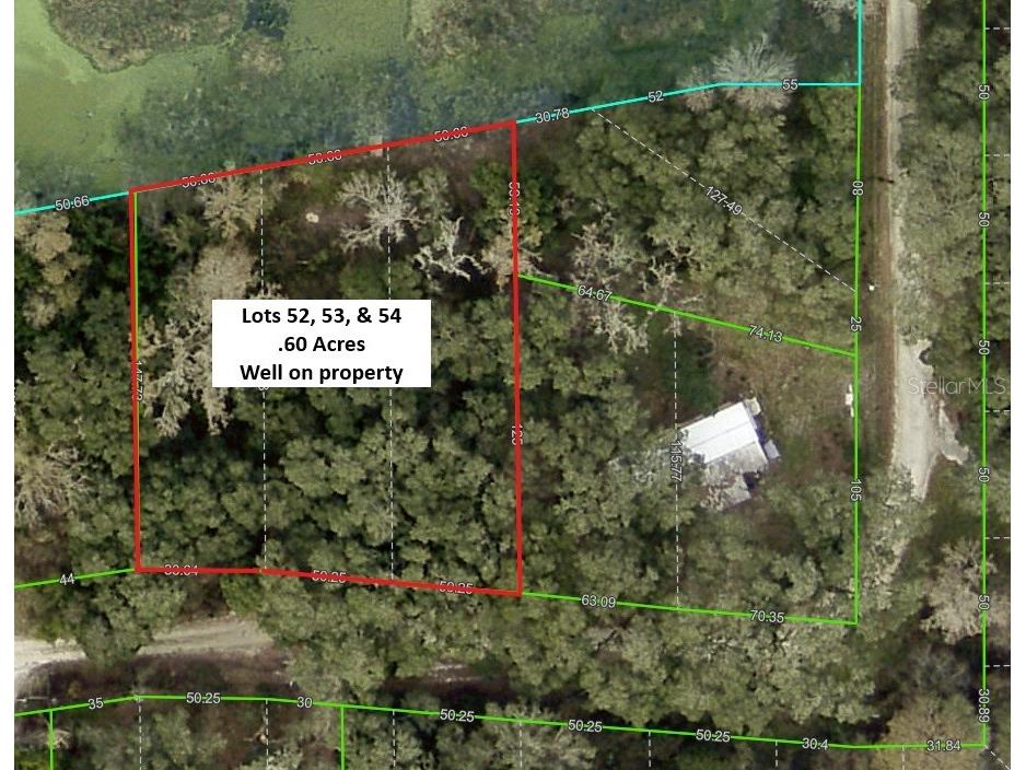 Tannahill Street Dade City FL 33523 TB8376595 image2