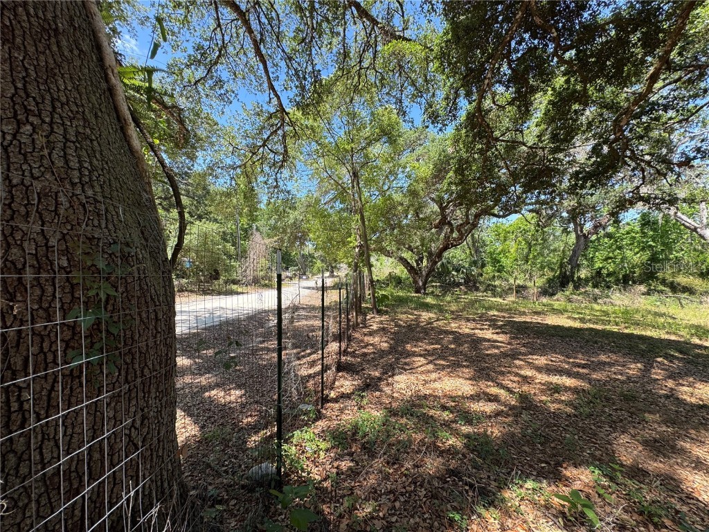 Tannahill Street Dade City FL 33523 TB8376595 image4