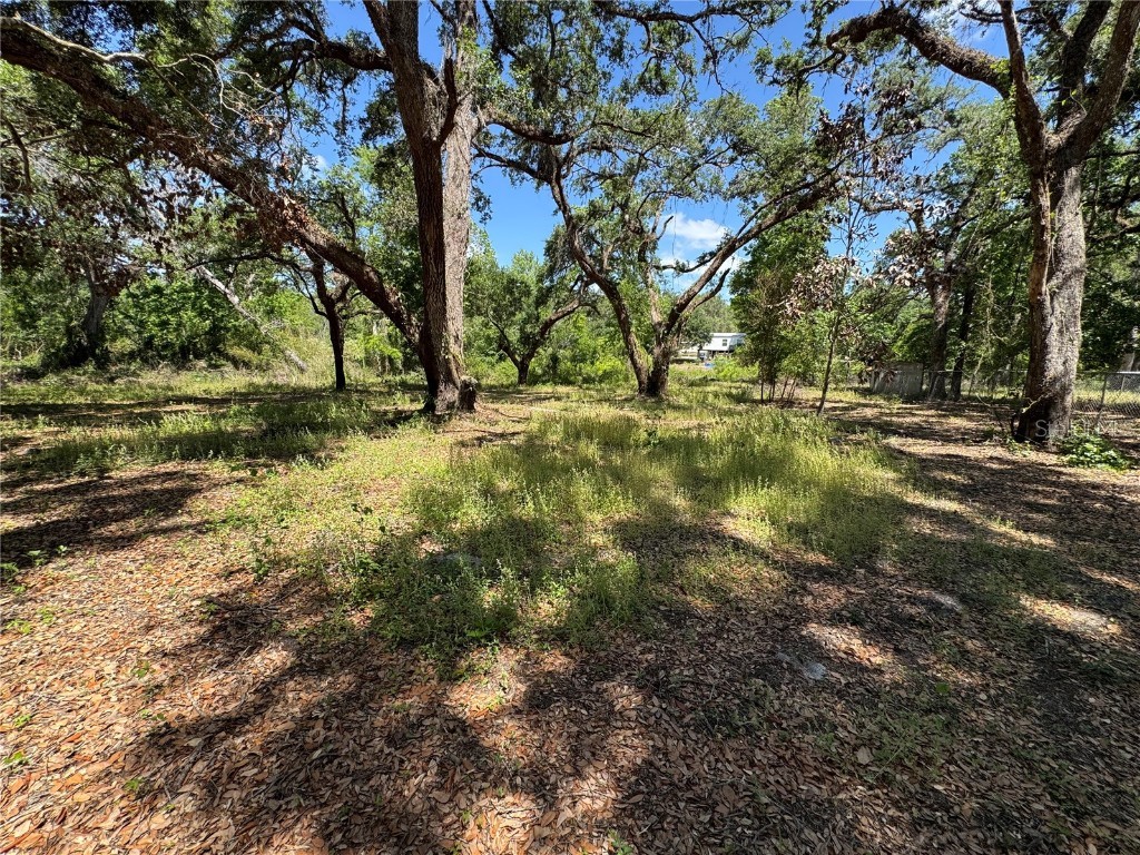 Tannahill Street Dade City FL 33523 TB8376595 image5