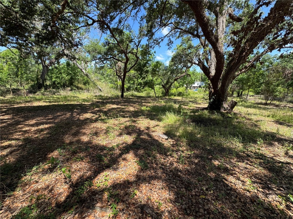 Tannahill Street Dade City FL 33523 TB8376595 image7