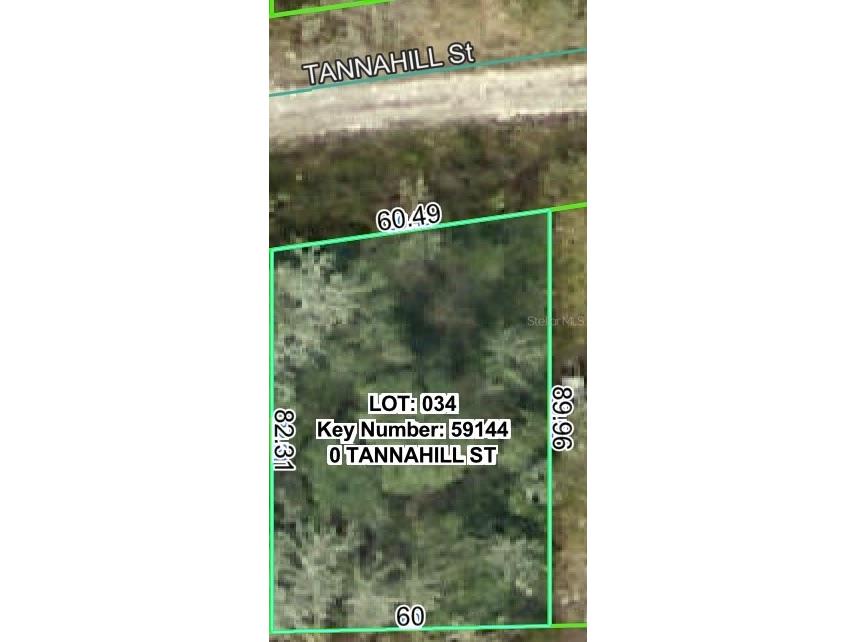 Tannahill Street Dade City FL 33523 W7879460 image2