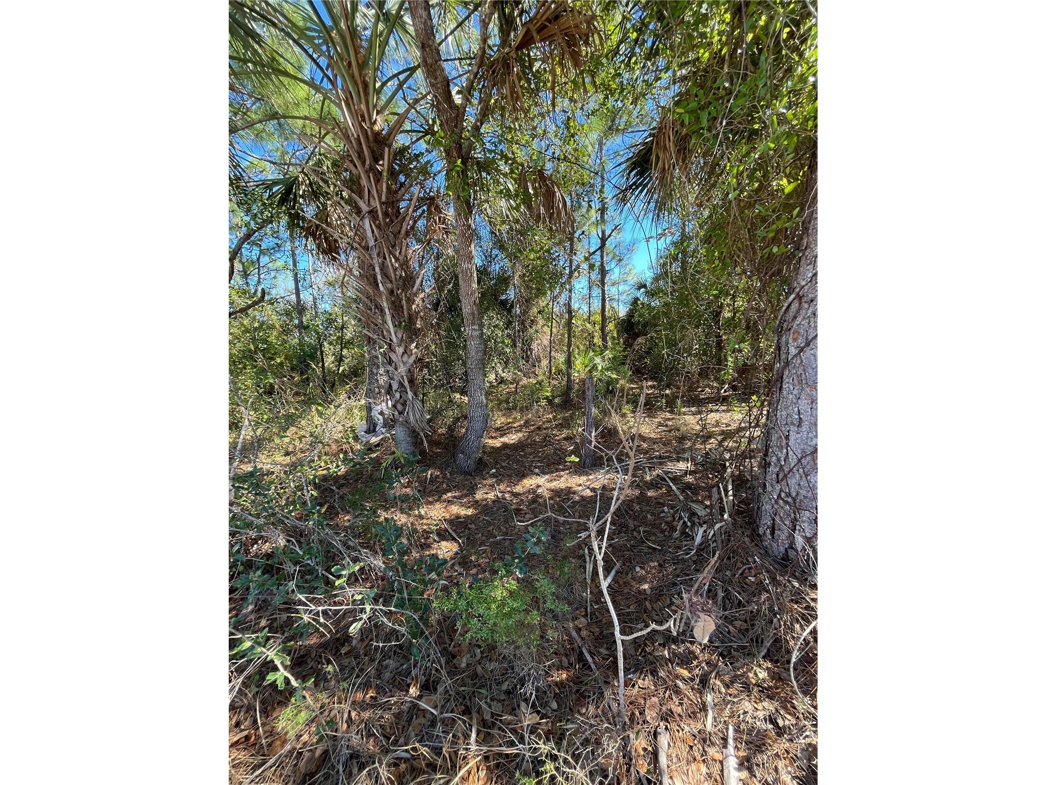 Taplin Ave North Port FL 34291 O6407547 image10