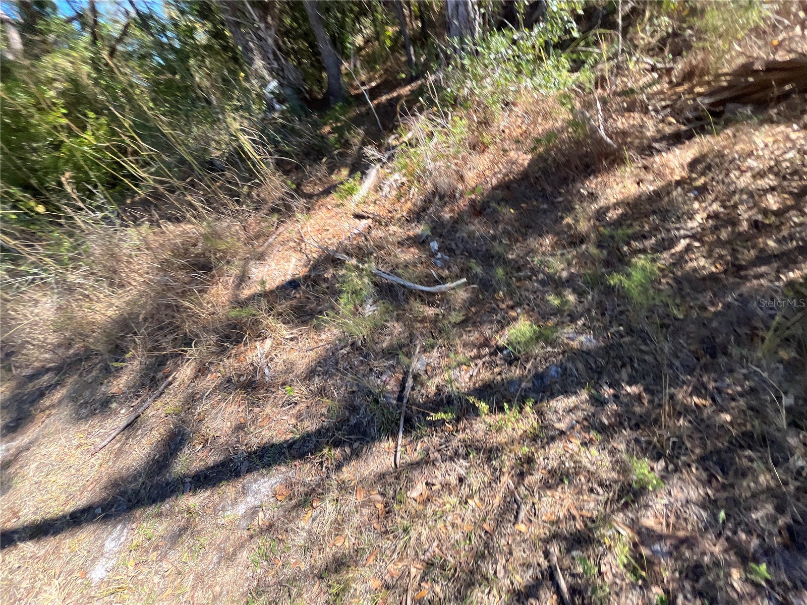 Taplin Ave North Port FL 34291 O6407547 image12