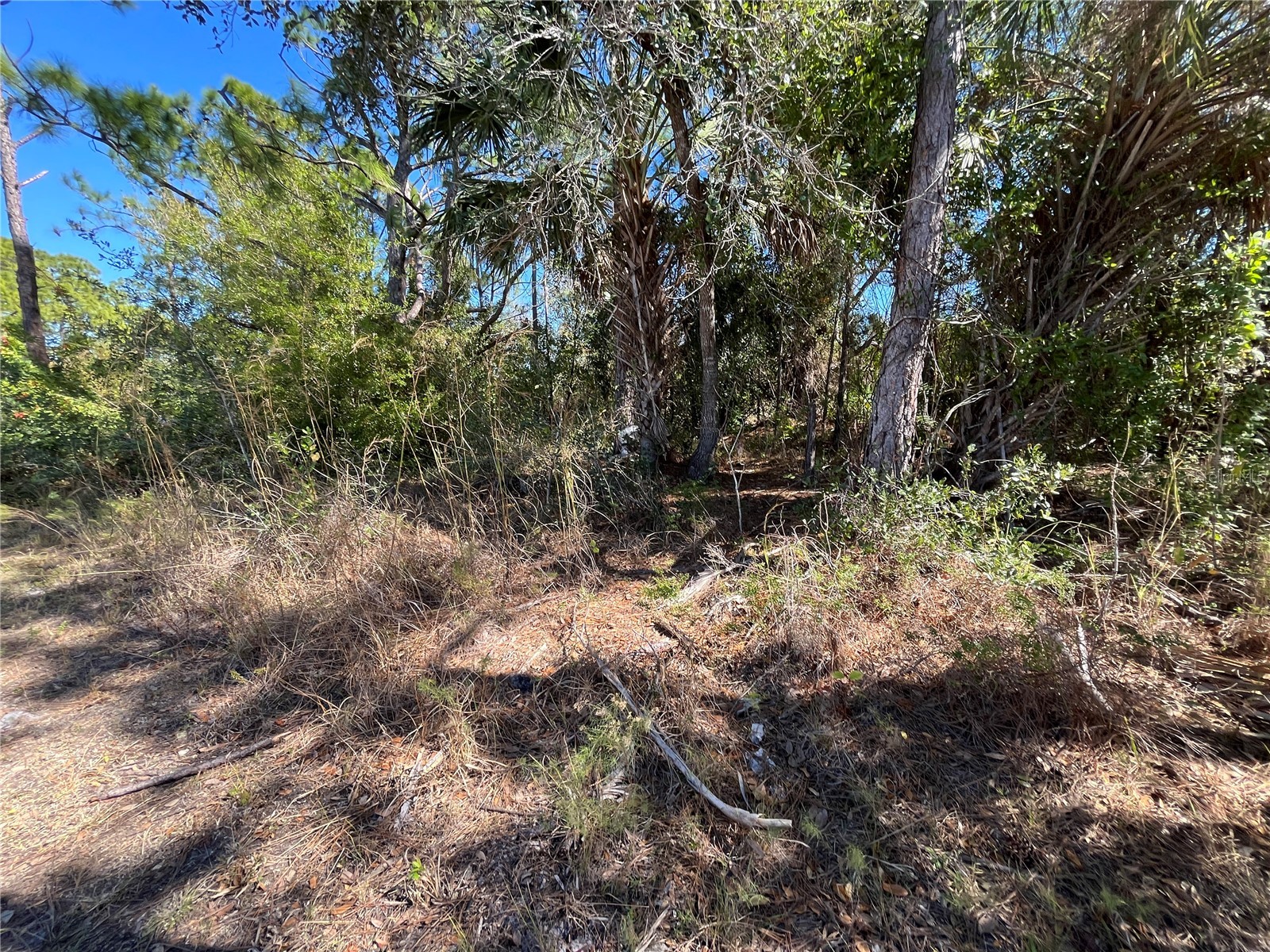 Taplin Ave North Port FL 34291 O6407547 image13