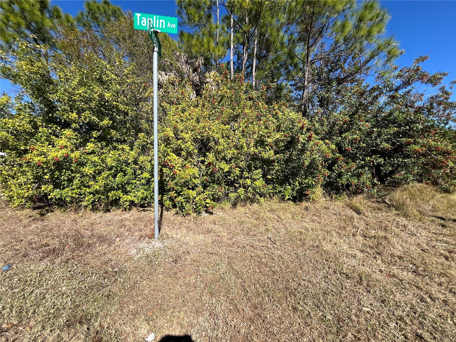 Taplin Ave North Port FL 34291 O6407547 image16