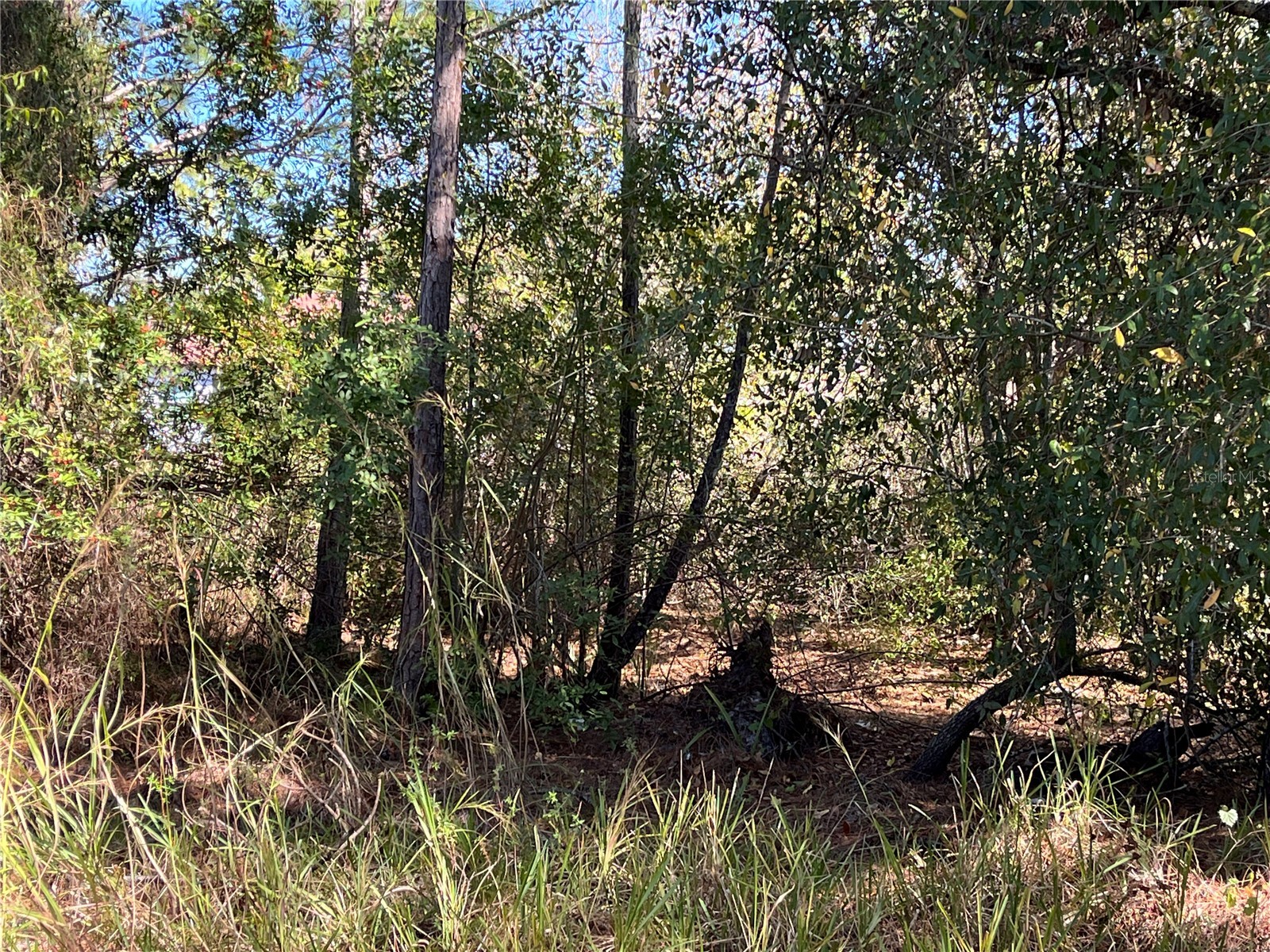 Taplin Ave North Port FL 34291 O6407547 image17