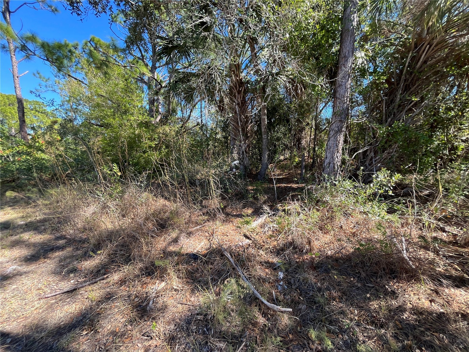 Taplin Ave North Port FL 34291 O6407547 image22