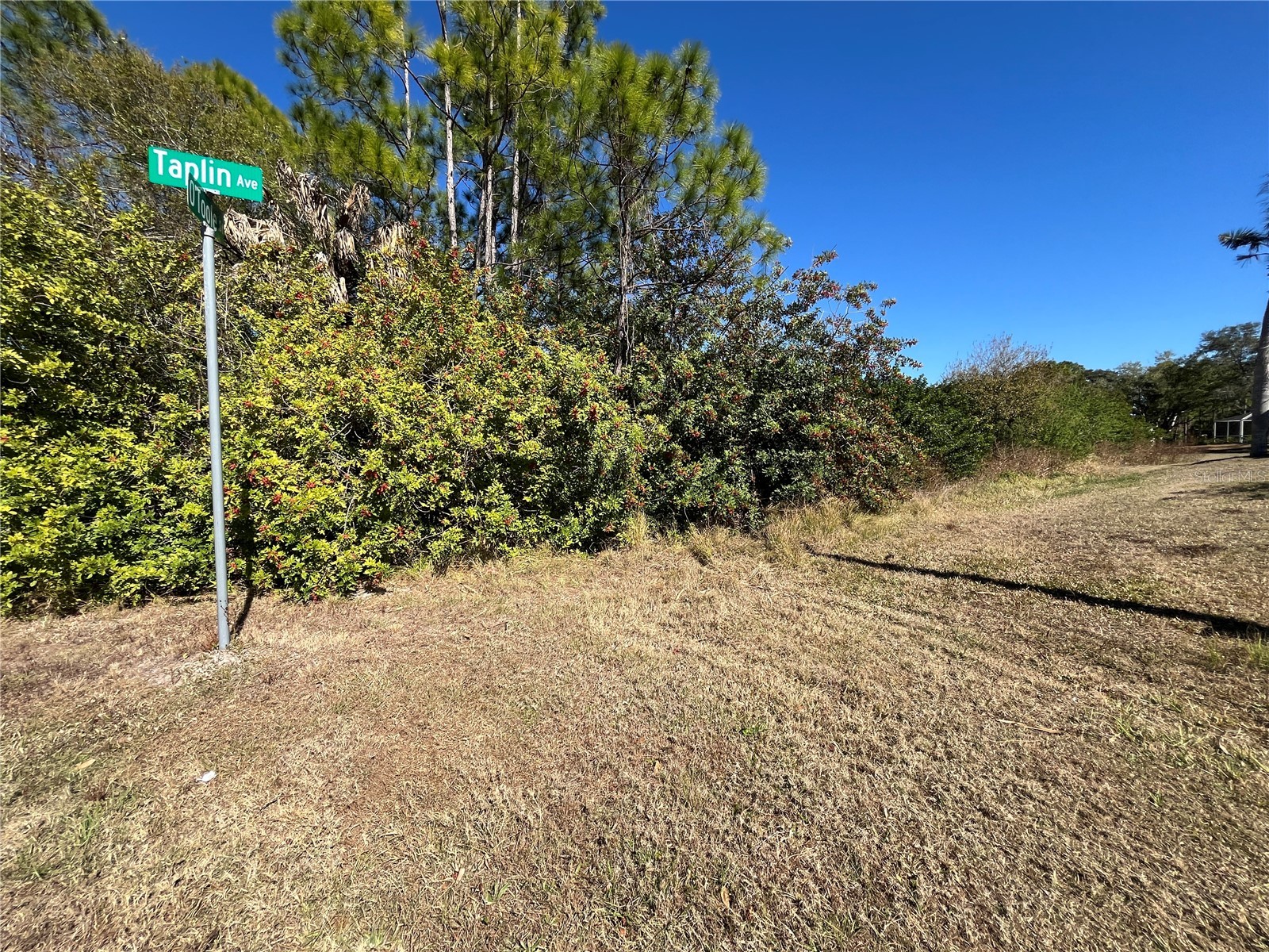 Taplin Ave North Port FL 34291 O6407547 image4